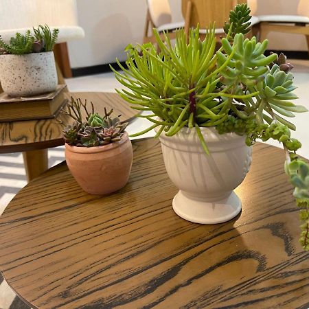 Apartamento Em Santa Teresa Santa Teresa  Dış mekan fotoğraf
