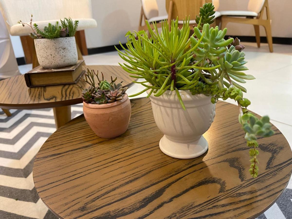 Apartamento Em Santa Teresa Santa Teresa  Dış mekan fotoğraf